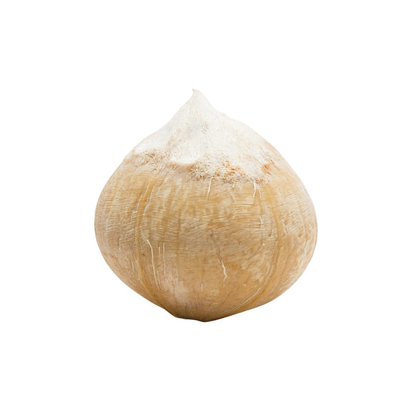 Thai Smoked Coconut  (1pc)