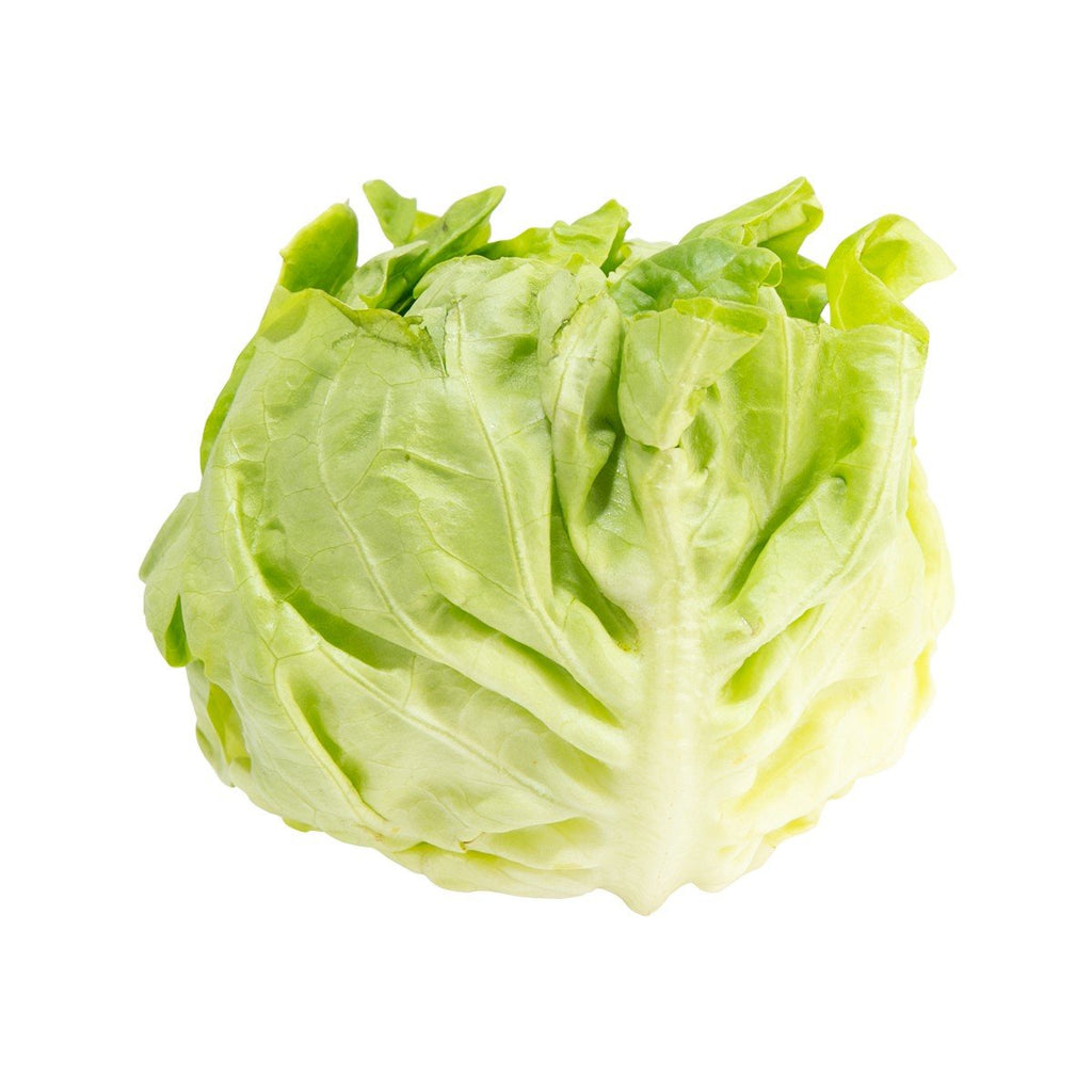 French Butter Lettuce  (600g)