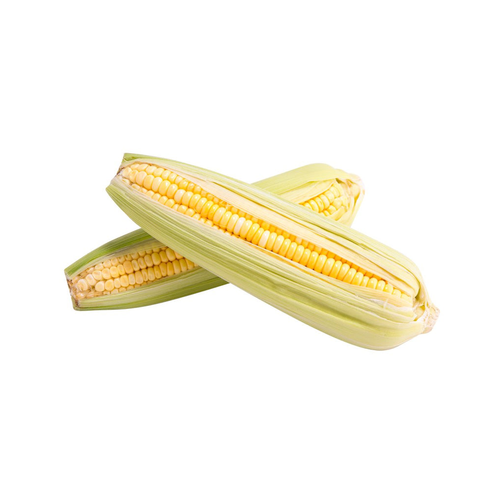 Local Organic Sweet Corn  (1pack)