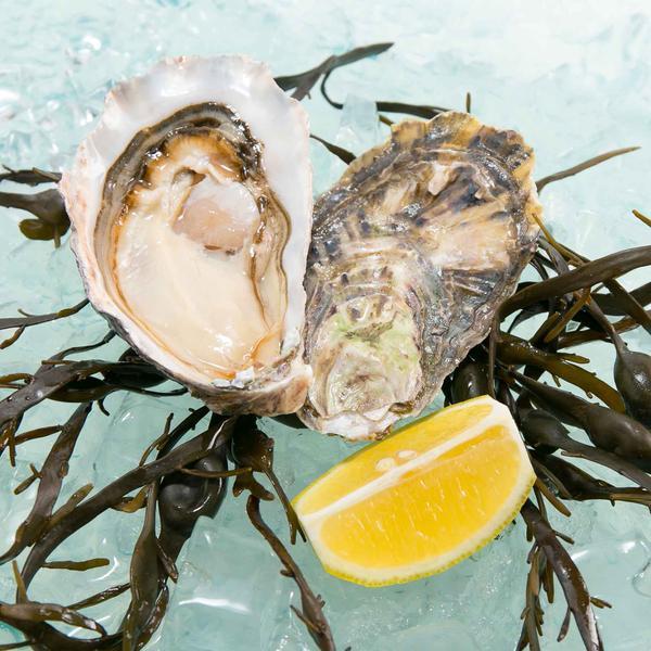 Namibian Pacific Oyster  (1pc)