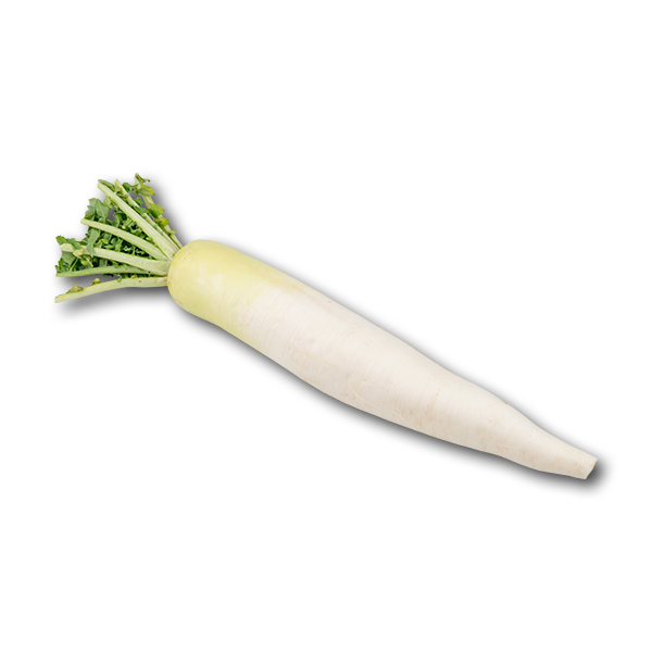 Japanese Radish  (500g)